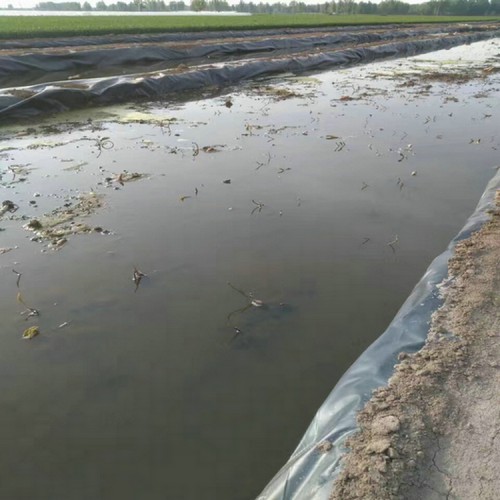 建筑垃圾防渗膜 1.4mmHDPE土工膜经久耐用