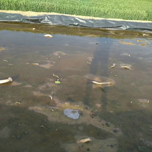 应急池防渗用1.5mmHDPE防渗膜厂家批发