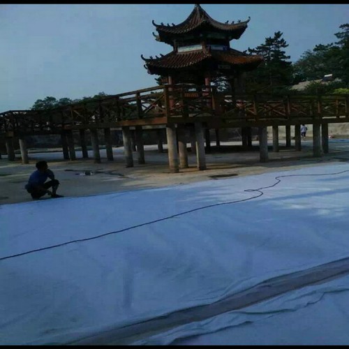 进口土工膜 1.2mm防渗膜沼气池防渗膜