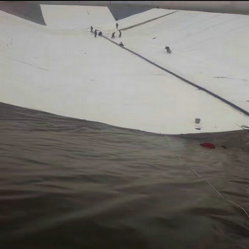 0.8mmHDPE土工膜生产厂家