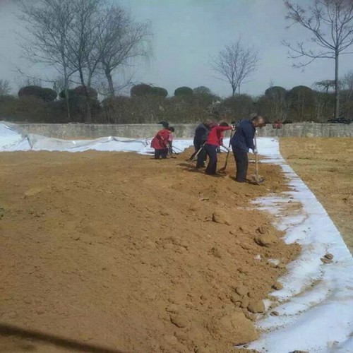 人工湖hdpe防渗膜 1.8mm防渗膜厂家批发