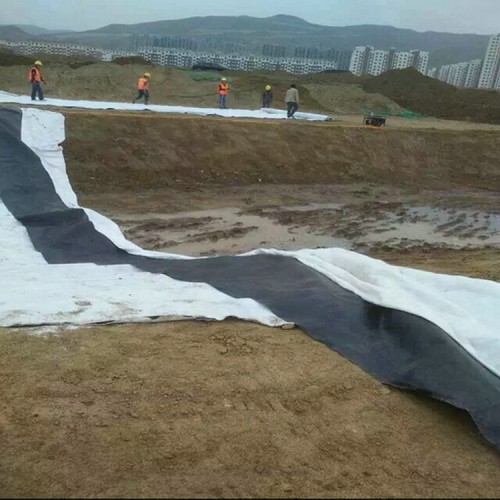 复合土工膜生产 400g长丝土工布尾矿坝渣场防渗膜