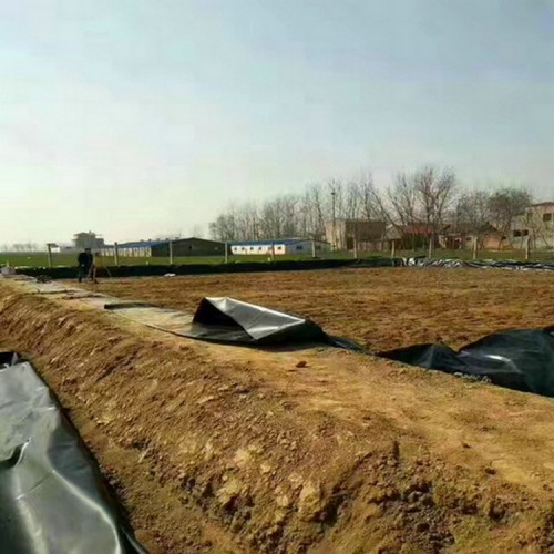 水库大坝水利防渗HDPE土工膜可量尺定做