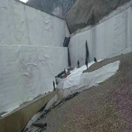 滑县养鱼池防渗膜 防渗防腐土工膜优质商品