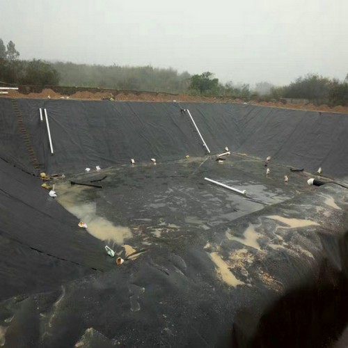 屋顶防渗屋面防渗用1.5mmHDPE土工膜厂家批发价