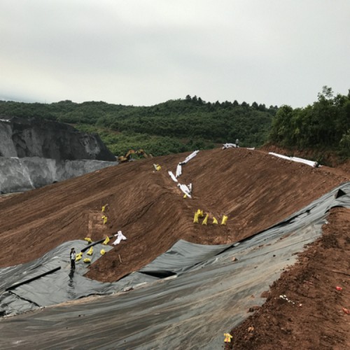金凤电厂调节池HDPE防渗膜 垃圾场防渗膜生产厂家