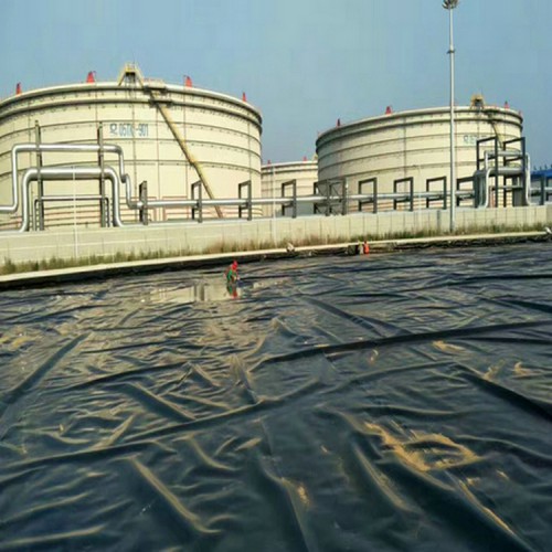 黑绿双色土工膜可量尺定做