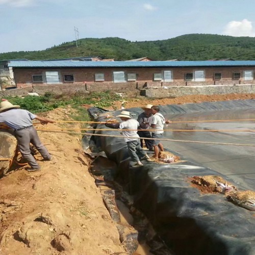 抗穿刺尾矿坝hdpe防渗膜厂家批发价