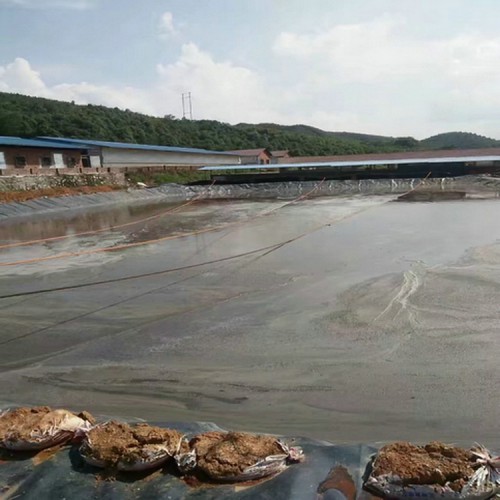 建筑防渗用1.5mmHDPE防渗膜防潮 0.5mm土工膜产品批发价