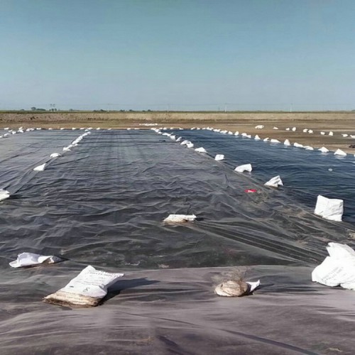 化工厂土工膜 1.5mm防渗膜经久耐用