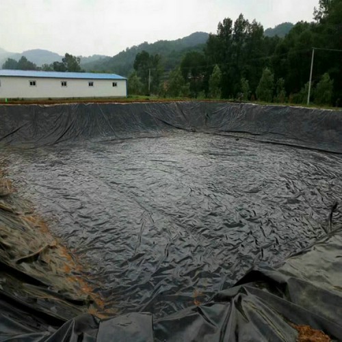 蓄水池防渗用1.0mm土工膜性能稳定