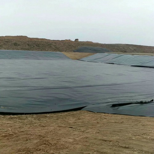 电厂原水调节池用1.0mmHDPE土工膜货源充足