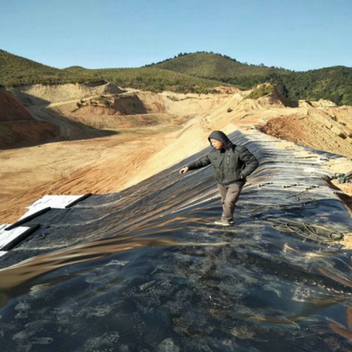 环保型国标二型防渗1mm土工膜优质商品