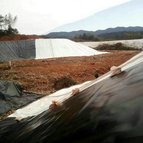巢湖复合土工膜厂家 屋顶防渗膜 渠道防渗两布一膜