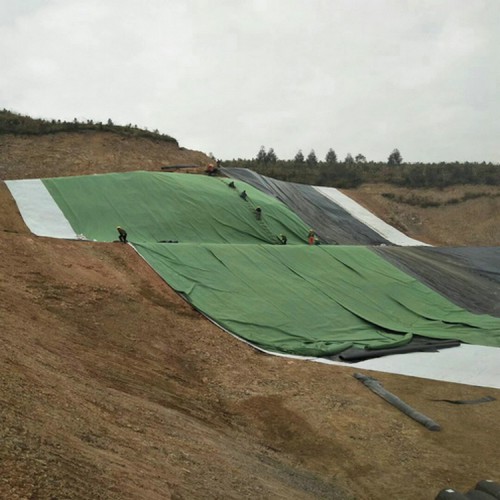 电厂原水调节池用1.5mmHDPE防渗膜厂家批发