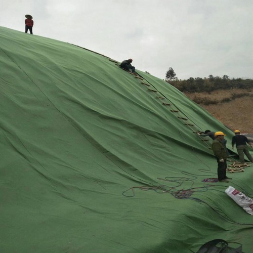 养猪场厌氧塘糙面HDPE防渗膜 1.9mm土工膜产品批发价