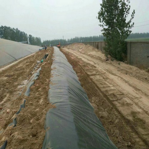 环卫垃圾填埋场防渗膜 0.20mmHDPE防渗膜优质商品