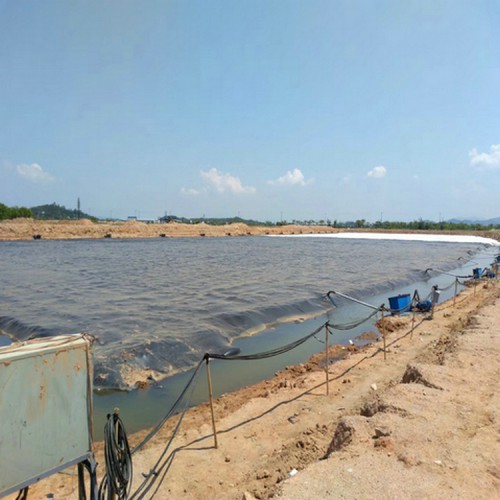 尾矿防渗用1.0mm防渗膜厂家自产自销