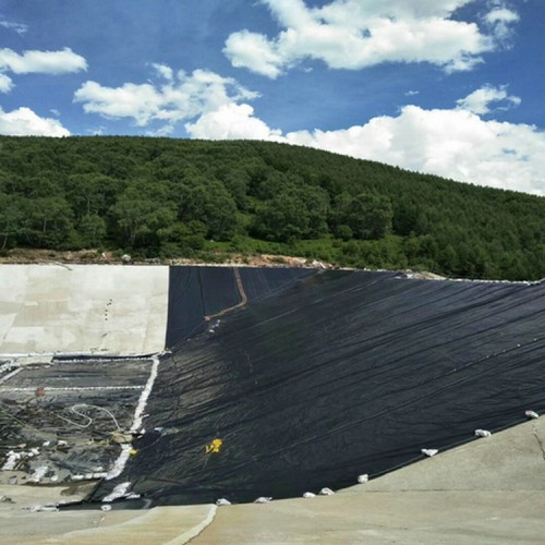 畜牧业氧化塘单毛面HDPE土工膜 0.30mm防渗膜厂家批发价