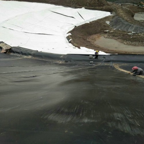 800g 土工布 缠绕膜价格防渗膜恒瑞