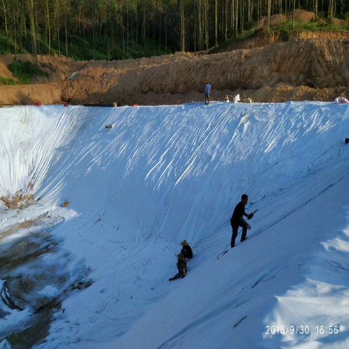 0.15mmHDPE土工膜 1.0mm防渗膜填埋场覆盖膜