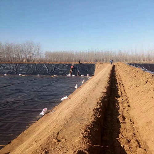 5000g膨润土防水毯精选厂家