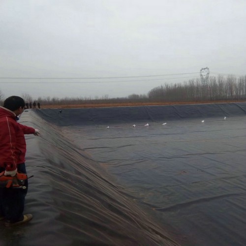 鱼塘土工膜 防渗膜厂家复合土工膜