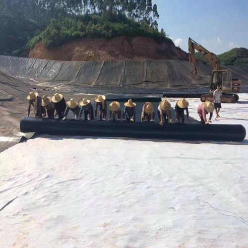 畜牧业厌氧塘双色HDPE防渗膜 0.8mmHDPE防渗膜货源充足