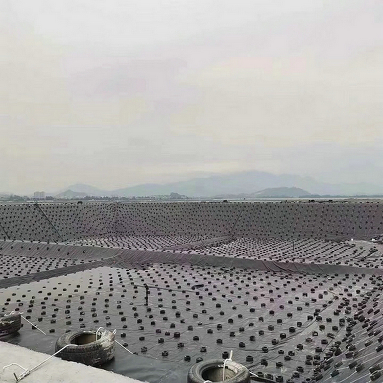 盐城垃圾填埋场膨润土防水毯 1.9mm防渗膜厂家批发
