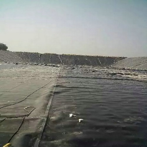 海丰防渗土工膜厂家 沼气池防渗膜生产厂家