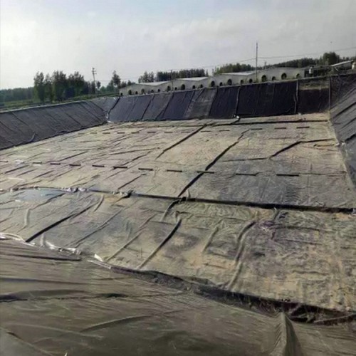 东阿沼气池覆盖HDPE土工膜 土工膜价格量尺定做