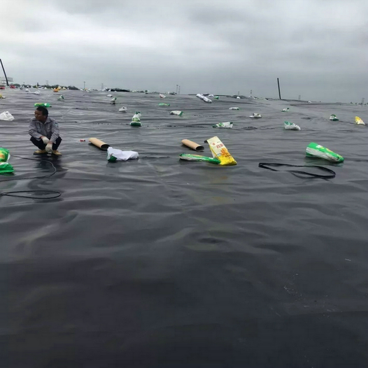 水池防水用1.5mm土工膜 0.9mmHDPE防渗膜厂家批发价