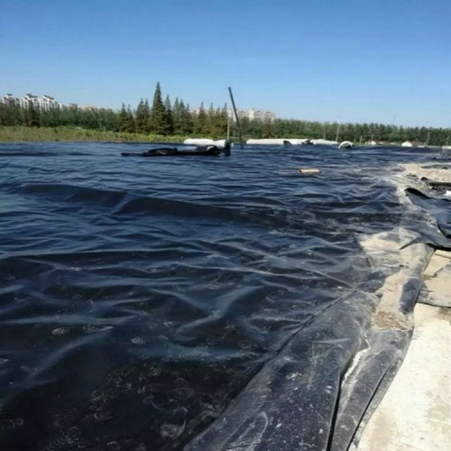 生活污水池防渗用1.2mmHDPE防渗膜 0.5mmHDPE土工膜产品批发价