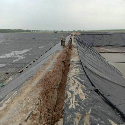 种植莲藕防渗膜厂家批发价