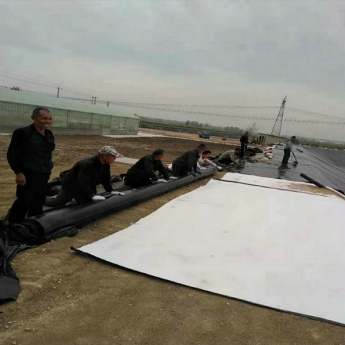 垃圾覆盖膜1.5mmHDPE土工膜厂家厂家自产自销