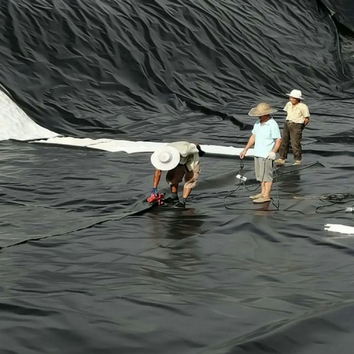 定西炼油厂土工膜 膨润土防水毯厂家厂家批发价