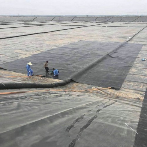 养猪场沉淀池土工膜