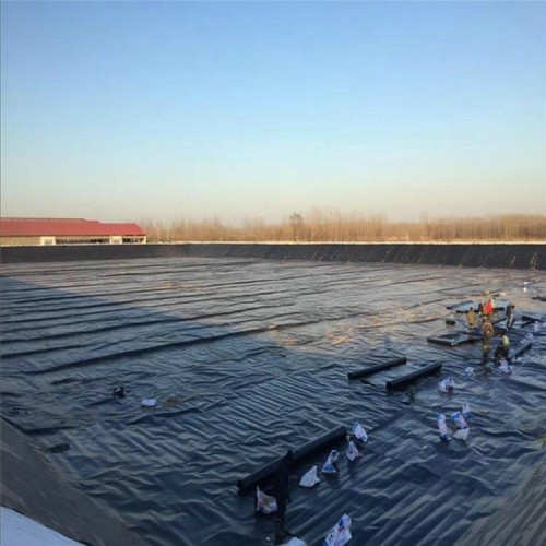 楼顶防渗膜源头生产厂