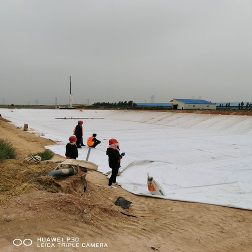 蚌埠300g/0.5mm/300g复合土工膜 水池防渗膜 靠谱的土工膜价格