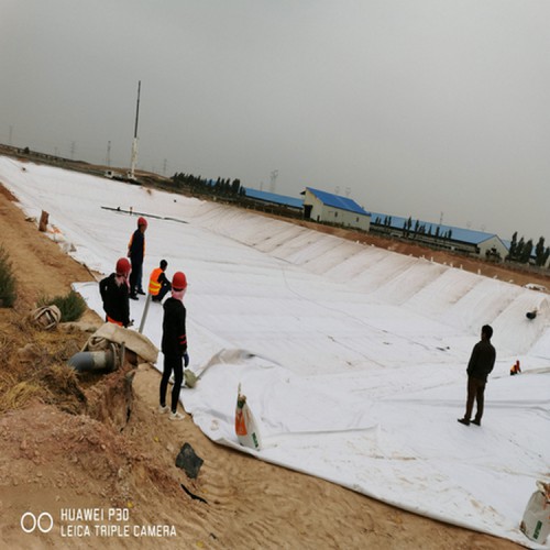 养殖沼液池防渗土工膜 0.7mm土工膜厂家自产自销