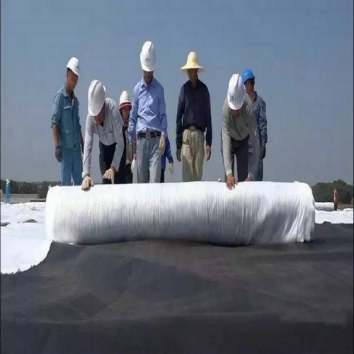 铺膜覆盖垃圾填埋场HDPE防渗膜生产厂家