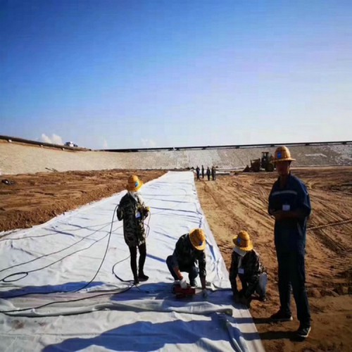 湟中养猪场1.0mm沼液池土工膜 膨润土防水毯优质商品