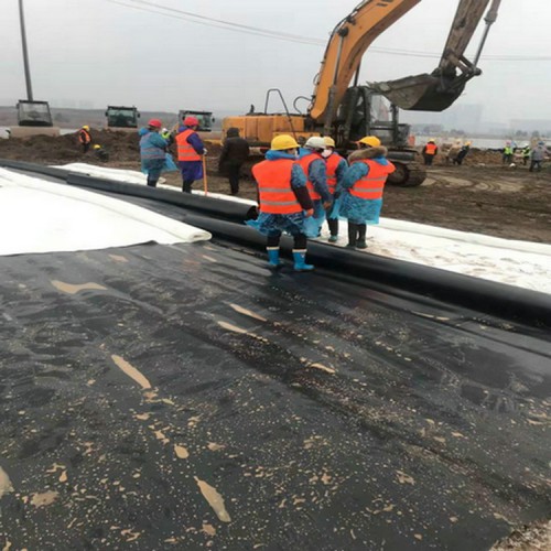 邢台hdpe土工膜 土工膜的施工 垃圾场专用土工膜