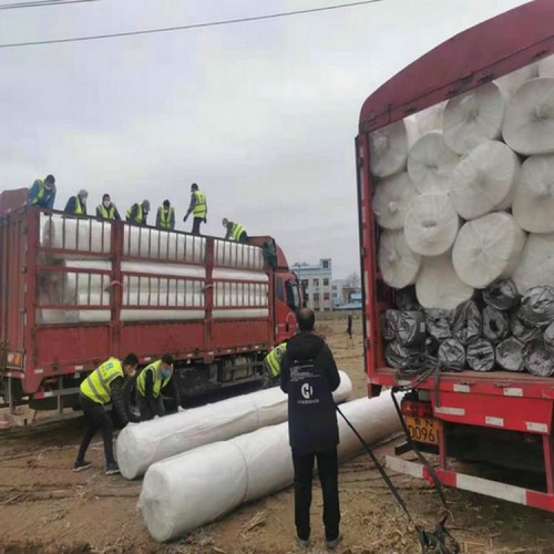 猪场沼气池防渗膜性能 养殖场防渗膜 藕池防渗膜
