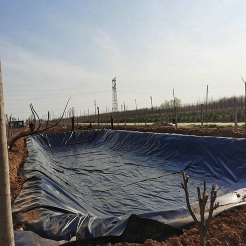 生活垃圾卫生填埋HDPE土工膜防渗 0.6mmHDPE土工膜生产厂家
