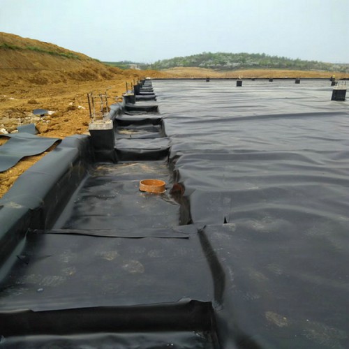 南安猪场沼气池防渗膜性能 膨润土防水毯产品批发价