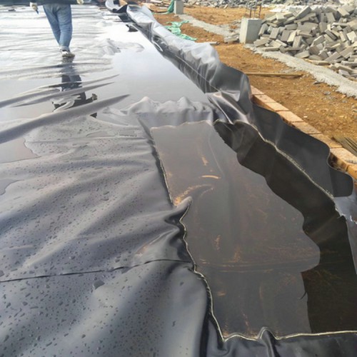 树根会穿透防渗膜吗厂家自产自销