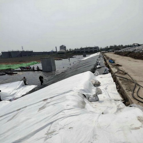 洛阳400g两布一膜 人工湖复合土工膜 沉淀池防渗HDPE土工膜