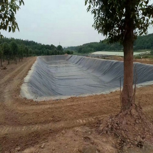 渠道防渗膜 0.9mm土工膜精选厂家