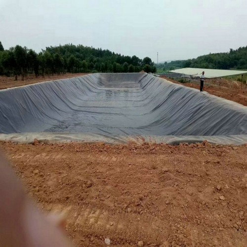 养牛场1.5mm沼液池防渗膜 1.5mmHDPE土工膜沼液池防渗膜
